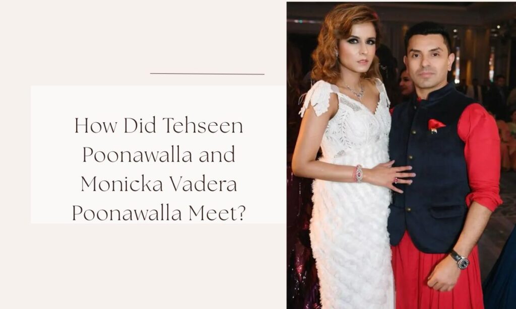 tehseen poonawalla wife